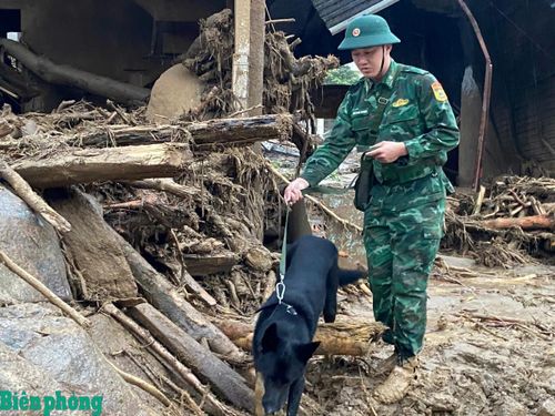 Huấn luyện viên và chó nghiệp vụ của Bộ đội Biên phòng tiếp tục tìm kiếm các nạn nhân. Ảnh: Văn Hợi