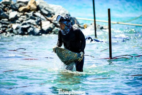 Thợ lặn miệt mài làm việc, nỗ lực hoàn thành dự án trước mùa mưa.