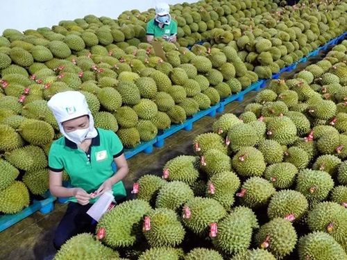 Theo chuyên gia, Trung Quốc hiện cũng không còn là thị trường "dễ tính" như trước.