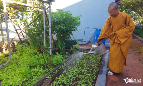 Đại đức Thích Quy Nghĩa chăm sóc những mầm xanh nơi đảo xa.