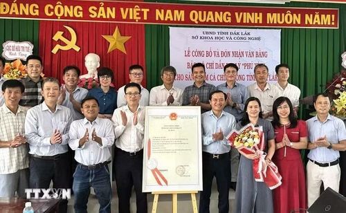 Cục Sở hữu trí tuệ (Bộ Khoa học và Công nghệ) trao bằng bảo hộ chỉ dẫn địa lý cho sản phẩm cá chình bông Phú Yên. (Ảnh: TTXVN phát)