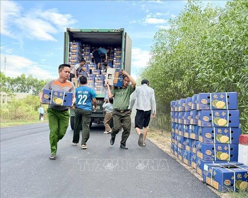 Khẩn trương bốc dỡ sầu riêng trên xe container bị cháy. Ảnh: TTXVN phát