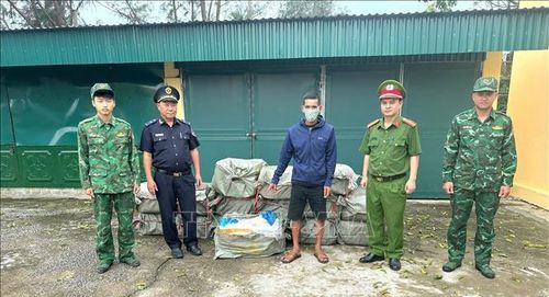 Đội tuần tra kiểm soát Đồn Biên phòng Trà Cổ phối hợp kiểm tra các thùng xốp chứa nầm lợn đông lạnh cất giấu trên phương tiện bè mảng gỗ xốp do Nguyễn Văn Lực điều khiển, sáng 22/7/2026. Ảnh: TTXVN phát