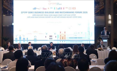 Quang cảnh diễn đàn đối thoại giữa Quan chức cấp cao CPTPP với lãnh đạo doanh nghiệp và Kết nối doanh nghiệp. Ảnh: Xuân Anh/TTXVN