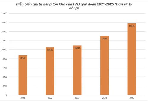 Nguồn: BCTC của PNJ