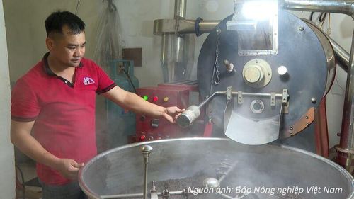 Lợi thế của Điện Biên không nằm ở việc cạnh tranh quy mô với các vùng sản xuất truyền thống mà ở khả năng xây dựng một thương hiệu Arabica khác biệt.