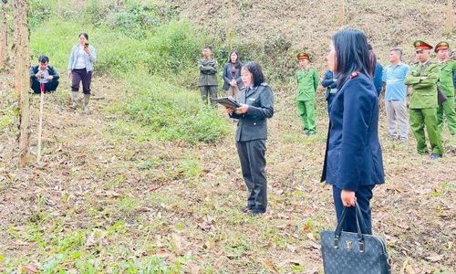 Lực lượng thi hành án dân sự tỉnh thực hiện cưỡng chế để bàn giao đất lâm nghiệp cho Công ty trách nhiệm hữu hạn Một thành viên lâm nghiệp Đông Bắc.