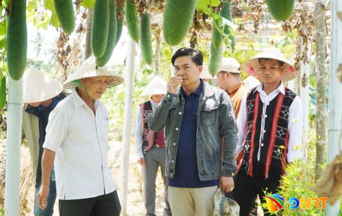 Lãnh đạo xã Avương và đại diện người dân thôn Aur học hỏi mô hình nông nghiệp hữu cơ tại phường Hội An Đông. Ảnh: PHAN VINH