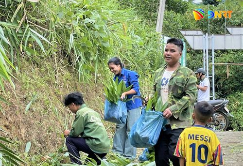 Người dân xã Trà Linh lồng ghép trồng cây xanh dọc tuyến đường khu dân cư trong ngày ra quân bảo vệ môi trường. Ảnh: SÁU TRẦN
