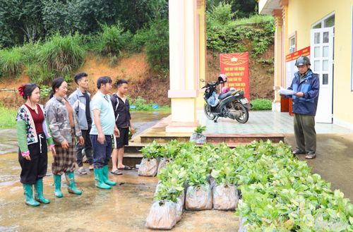 Chuyển đổi cơ cấu cây trồng, đưa cây có giá trị kinh tế cao vào sản xuất để người dân tăng thu nhập, nâng cao đời sống, hoàn thành các tiêu chí NTM. Trong ảnh: Xã Quài Tở cấp phát cây cà phê giống cho người dân phục vụ sản xuất năm 2026.