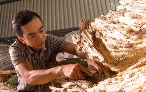 Người dân ở xã Vạn Thắng làm nghề xoi trầm.
