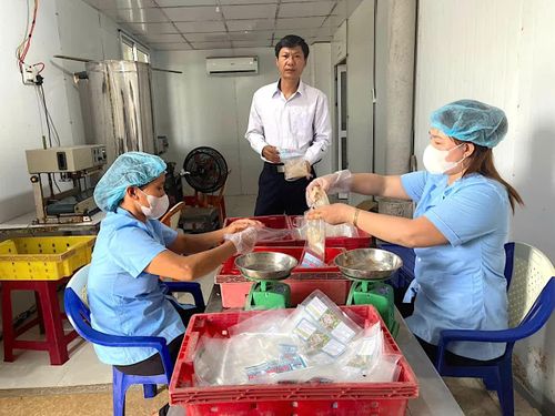 Sản phẩm sứa Bang Thủy được đầu tư chế biến và đóng gói trước khi đưa ra thị trường - Ảnh: Quang Ngọc