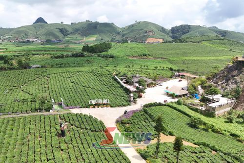 Khu du lịch Mocha Hill tại phường Vân Sơn.