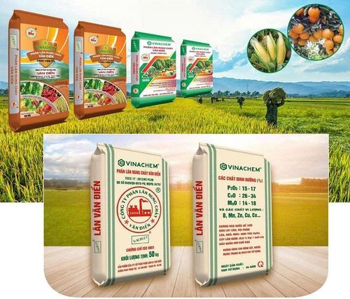 Các sản phẩm Phân lân Văn Điển luôn được người tiêu dùng tin tưởng, lựa chọn