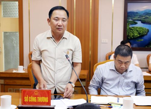Giám đốc Sở Công thương Phú Thọ Trần Quang Tuấn báo cáo Đề án tại hội nghị.