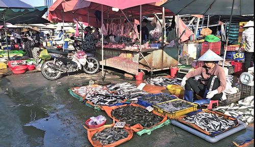 Cá tôm được bày bán dưới vỉa hè ở chợ tự phát trước chợ đầu mối Thủ Đức.