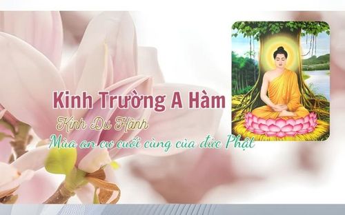 Hình mang tính minh họa. Nguồn: Internet