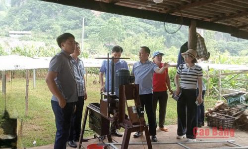 Lãnh đạo UBND xã Nguyễn Huệ kiểm tra, nắm tình hình phát triển kinh tế - xã hội tại thôn Án Lại.