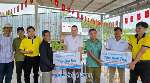 Dự án VM077 hỗ trợ tôm giống cho người dân.