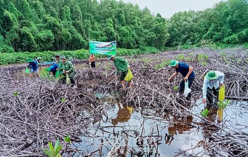 Vườn Quốc gia Mũi Cà Mau và Ban Quản lý rừng phòng hộ Đất Mũi tham gia trồng rừng bảo vệ hệ sinh thái.