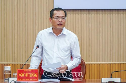  Phó Chủ tịch UBND tỉnh Ngô Vũ Thăng phát biểu chỉ đạo tại phiên họp.