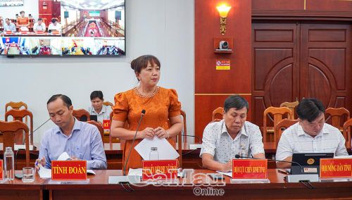 Phó Chủ tịch Hội Liên hiệp Phụ nữ tỉnh Cà Mau Nguyễn Thị Ngọc Thuý phát biểu ý kiến về công tác kiểm tra, giám sát vốn vay uỷ thác.