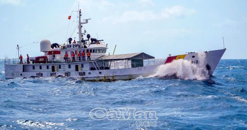 Cơ quan chuyên môn phối hợp với lực lượng chức năng tuần tra trên biển, nhằm tuyên truyền ngư dân chấp hành các điều kiện an toàn trong quá trình hoạt động, khai thác.