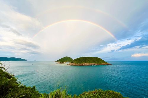 Thiên nhiên hoang sơ cùng hệ sinh thái đa dạng giúp Côn Đảo trở thành điểm đến hấp dẫn với những trải nghiệm từ rừng đến biển. Ảnh: Linh Huỳnh.