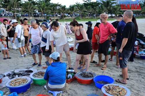 Bước vào không gian chợ cá buổi sớm mai cũng là lúc du khách chạm gần hơn với một Đà Nẵng rất khác - không xa hoa, không ồn ào, nhưng chân thành, giàu sức sống và lưu lại những cảm xúc rất lâu sau chuyến đi