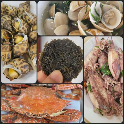 Hải hản tươi ngon là món ăn được nhiều du khách ưa thích