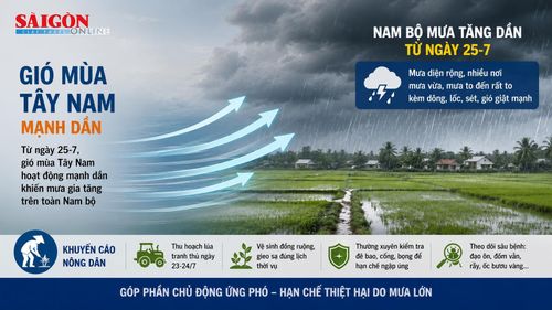 Đồ họa có dùng AI. Thực hiện: PHÚC HẬU 