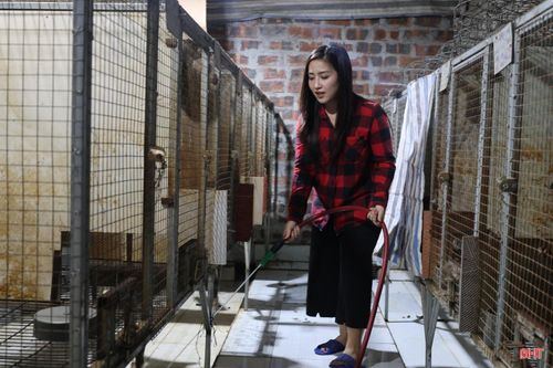 Chị Trần Thị Cẩm Tú lựa chọn trở về Hà Tĩnh phát triển mô hình nuôi chồn giống kết hợp kinh doanh "Tiệm cà phê Làng Tôi".