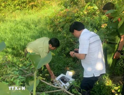 Cán bộ kiểm lâm phối hợp cơ quan chức năng thả nhiều động vật hoang dã quý hiếm về rừng đặc dụng Đèo Cả. (Ảnh: TTXVN phát)