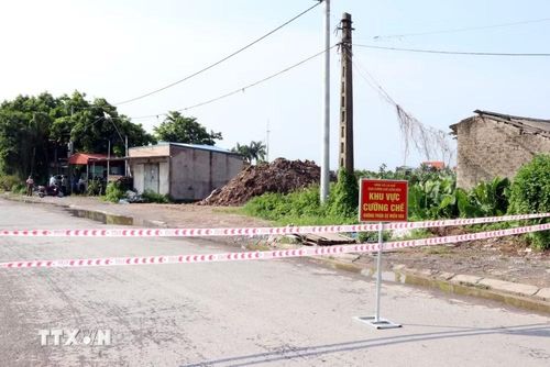 Khu vực cưỡng chế kiểm đếm bắt buộc đối với diện tích đất và cây cối hoa màu trên đất đối với các hộ dân không chấp hành để thực hiện dự án điểm dân cư mới thôn Hợp Nhất. (Ảnh: Mạnh Tú/TTXVN)