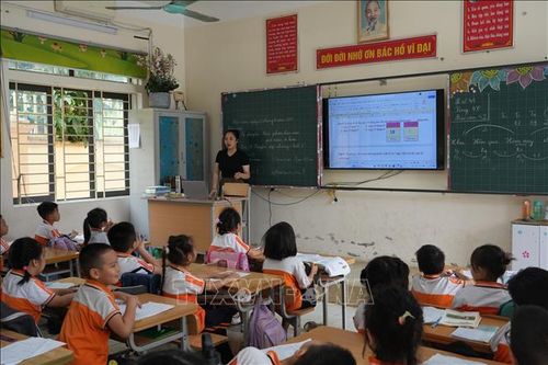Việc sắp xếp phải bảo đảm mỗi đơn vị hành chính cấp xã có tối thiểu 1 trường Mầm non và 1 trường Phổ thông liên cấp Tiểu học - Trung học cơ sở.