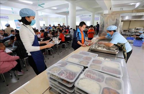 Hà Nội đảm bảo an toàn bữa ăn bán trú cho học sinh. Ảnh tư liệu - minh họa: Thanh Tùng/TTXVN