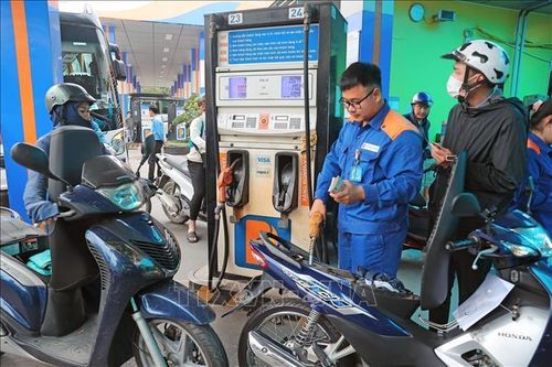 Mua, bán xăng tại điểm kinh doanh xăng, dầu Petrolimex. Ảnh: Trần Việt/TTXVN