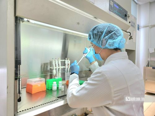 Bác sĩ Vương Gia Bảo xét nghiệm mẫu trong phòng thí nghiệm.