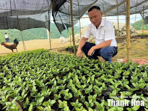 Anh Mai Văn Thề thăm mô hình sản xuất của người dân bản Ún. Ảnh: Tăng Thúy