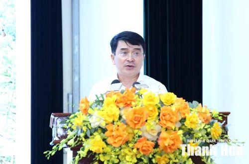 Đại diện Hội Chữ thập đỏ tỉnh chia sẻ về hiệu quả của các chương trình phi chính phủ do Hội phối hợp triển khai.