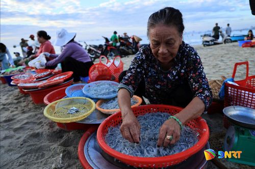Phiên chợ cá buổi sớm tại bãi biển Mân Thái. Ảnh: NGỌC HÀ
