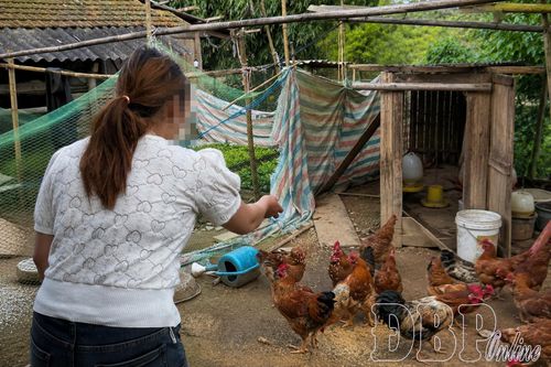 Nhờ được các cấp Hội LHPN tỉnh động viên, giúp đỡ, chị S.T.C đã trở lại cuộc sống đời thường.