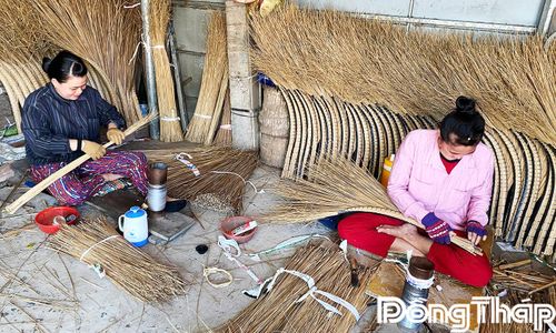 Nhiều chị em phụ nữ ấp Phú Quý gắn bó với nghề bó chổi, vừa tạo thu nhập ổn định cho gia đình vừa góp phần gìn giữ nghề truyền thống quê hương.