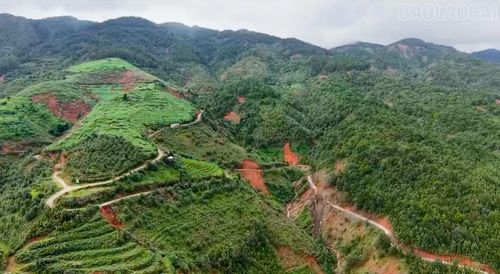 Tuyến đường chạy qua thôn Háng Gàng có nhiều điểm bị sạt lở, mặt đường bị cuốn trôi.