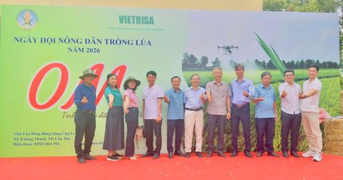 Xã Tánh Linh tham gia Ngày hội Nông dân trồng lúa năm 2026 tại Viện lúa Đồng bằng Sông Cửu Long