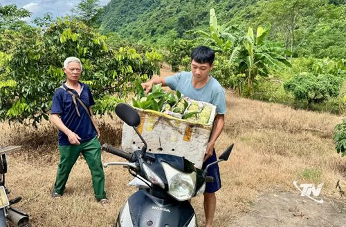 Đưa na về "phố".