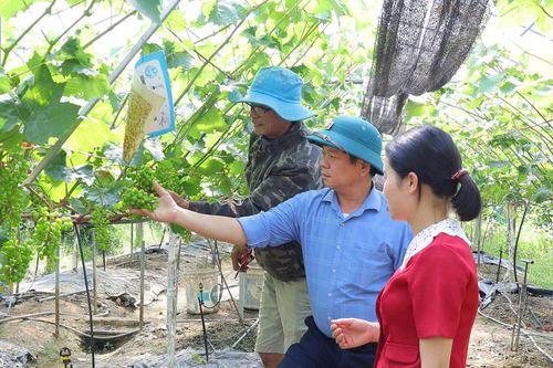 Các chuyên gia khẳng định, thị trường xuất khẩu nông sản chất lượng cao của Việt Nam vẫn còn rất lớn.