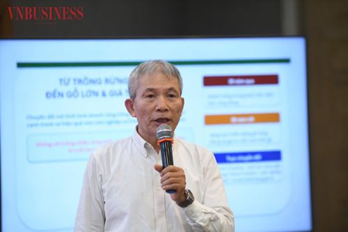 Ông Ngô Sỹ Hoài, Tổng Thư ký Hiệp hội Gỗ và Lâm sản Việt Nam.