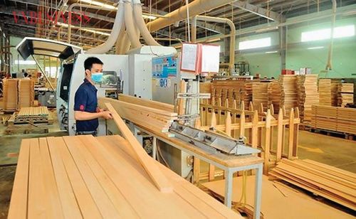Ngành gỗ phải đáp ứng các tiêu chuẩn ngày càng khắt khe của thị trường quốc tế.