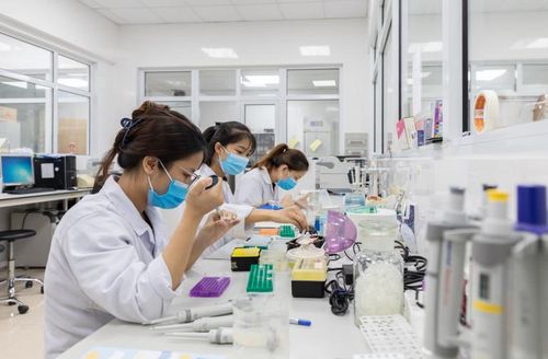 Sinh viên Trường Đại học Y Hà Nội thực hành tại phòng thí nghiệm. Ảnh Trung Hiếu
